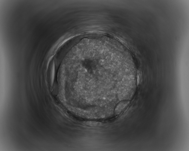 X0000084520339200703231635