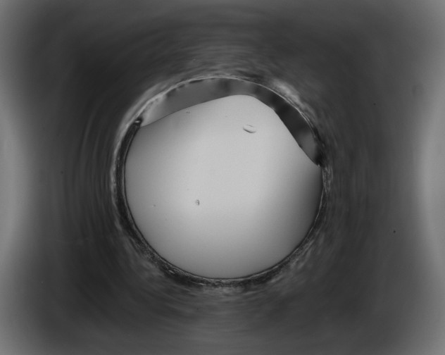 X0000084520340200703231635