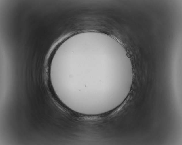 X0000084520342200703231635