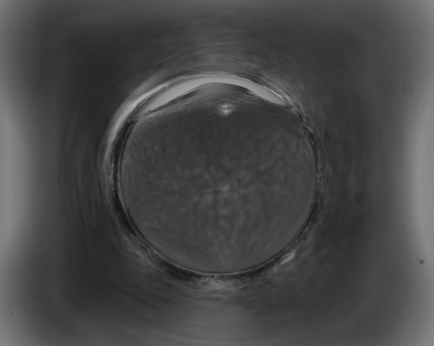 X0000084520343200703231635