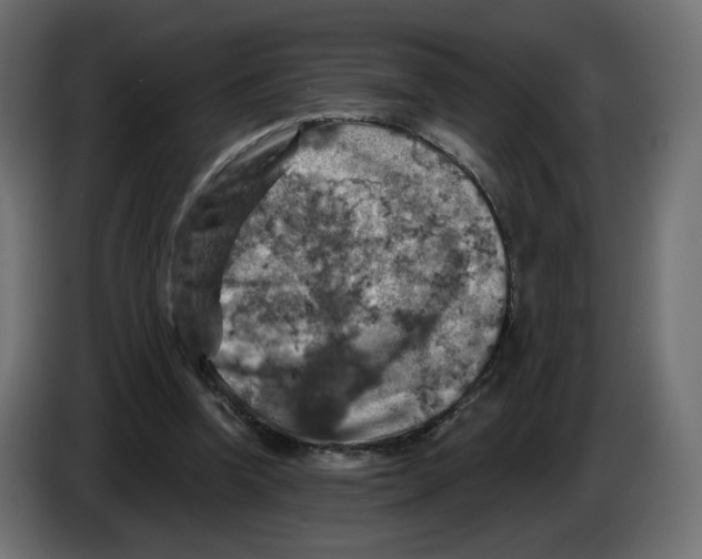 X0000084520346200703231635