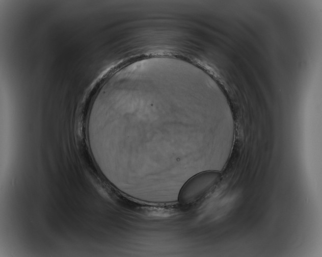 X0000084520347200703231635