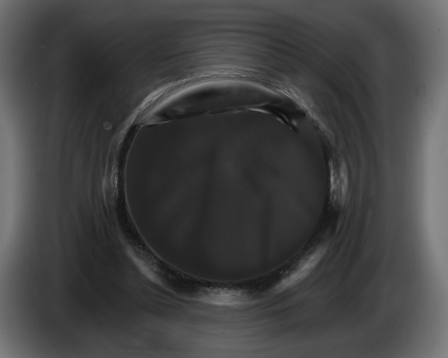 X0000084520348200703231635