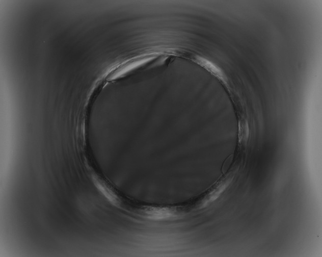 X0000084520349200703231635