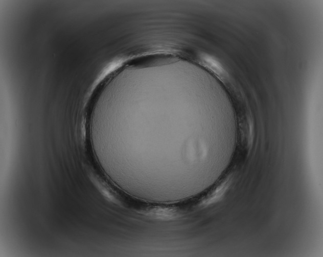 X0000084520350200703231635