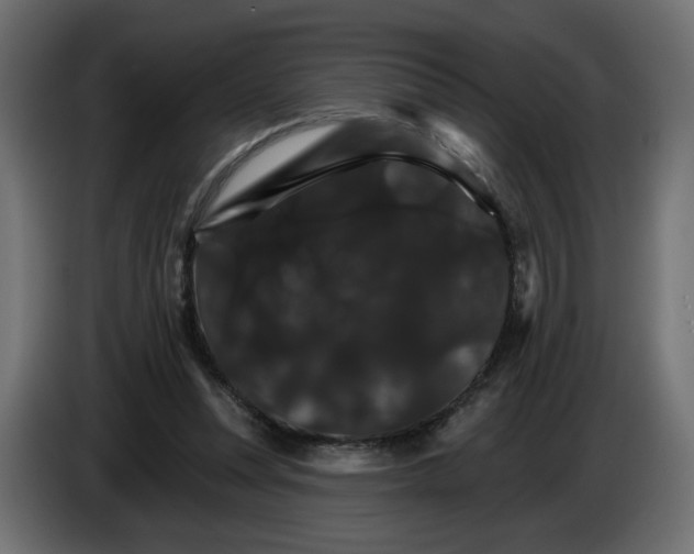 X0000084520351200703231635
