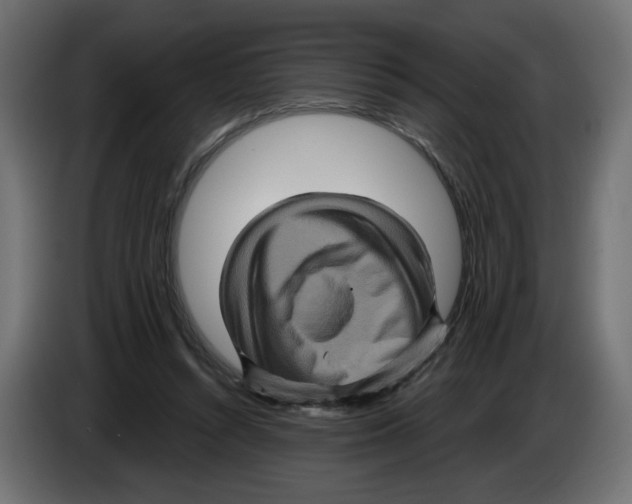 X0000084520352200703231635