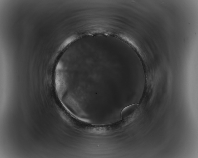 X0000084520353200703231635
