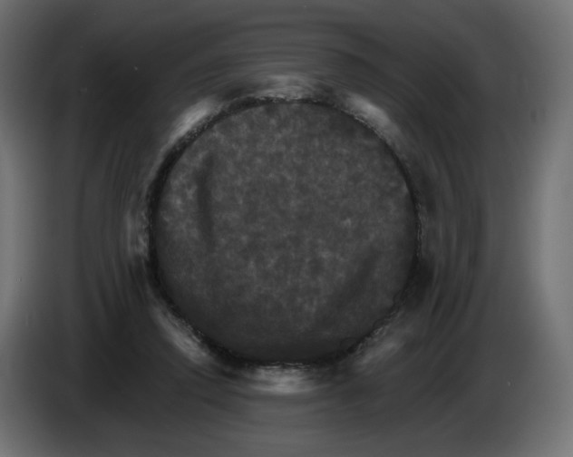 X0000084520354200703231635
