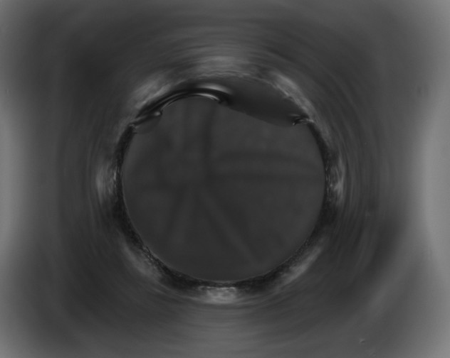 X0000084520355200703231635