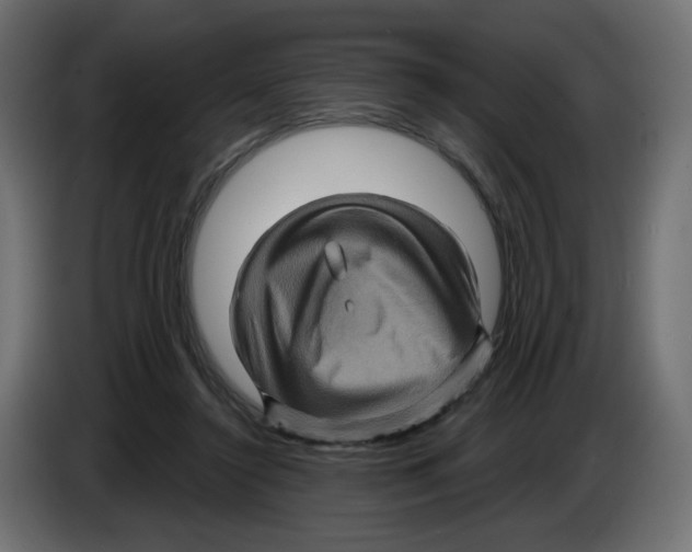 X0000084520356200703231635