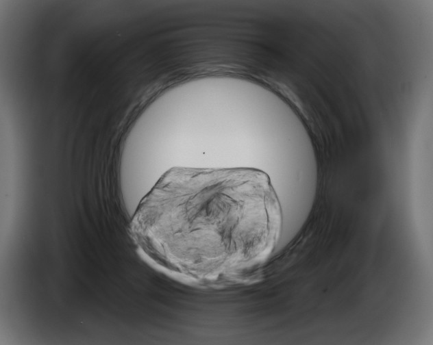 X0000084520357200703231635
