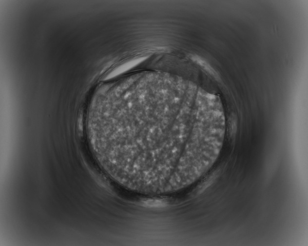 X0000084520358200703231635