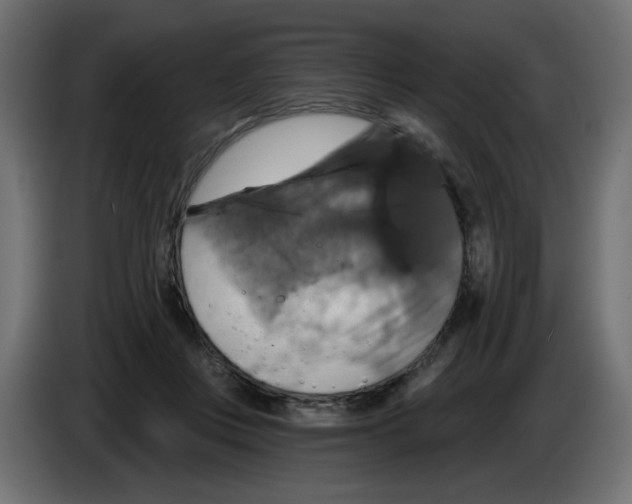 X0000084520359200703231635