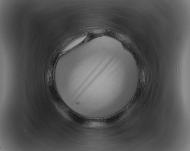 X0000084520360200703231635