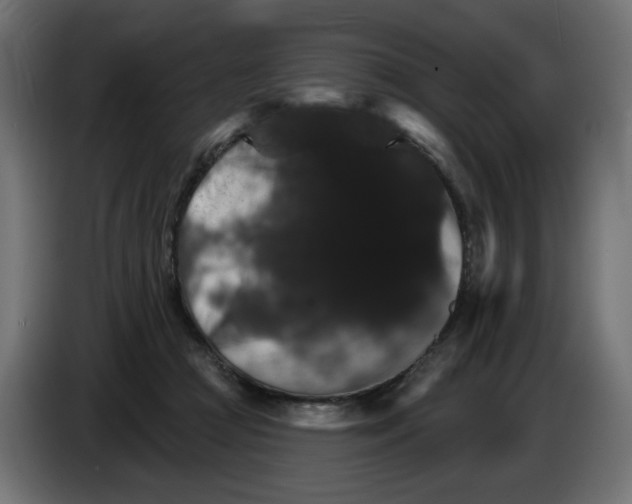 X0000084520361200703231635