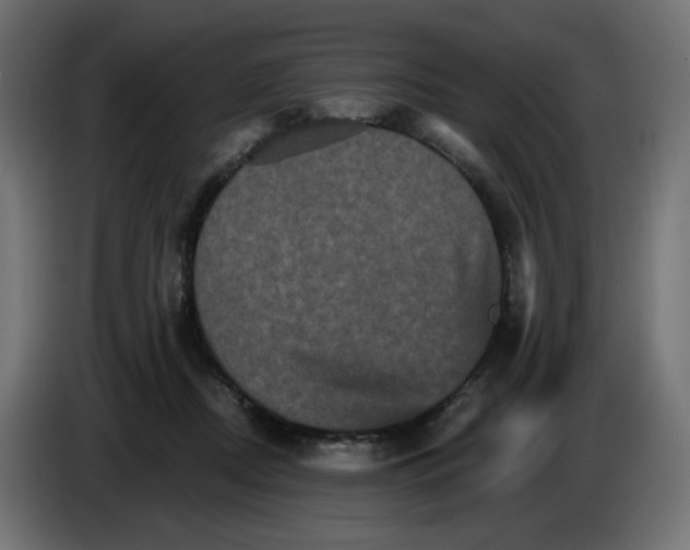 X0000084520362200703231635