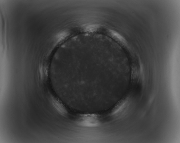 X0000084520363200703231636