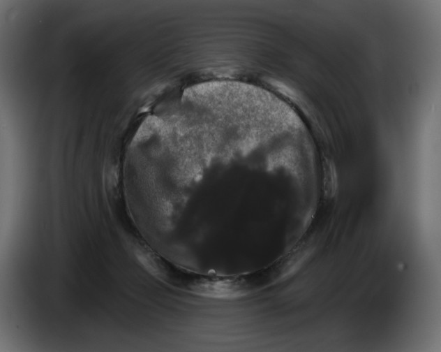 X0000084520365200703231636