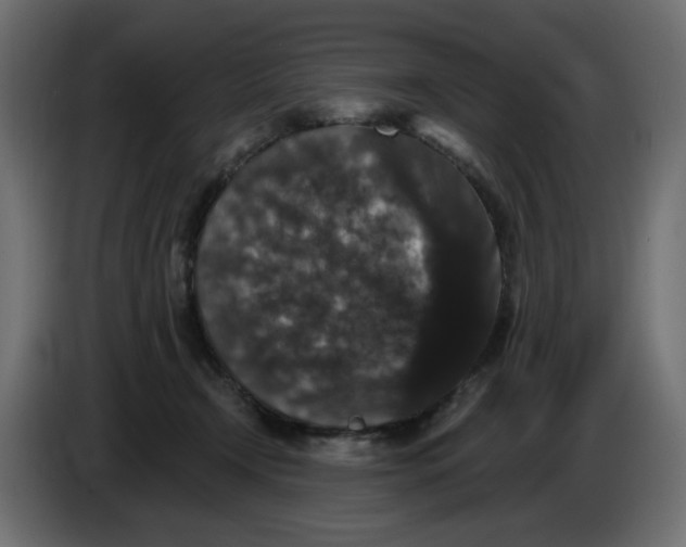 X0000084520366200703231636