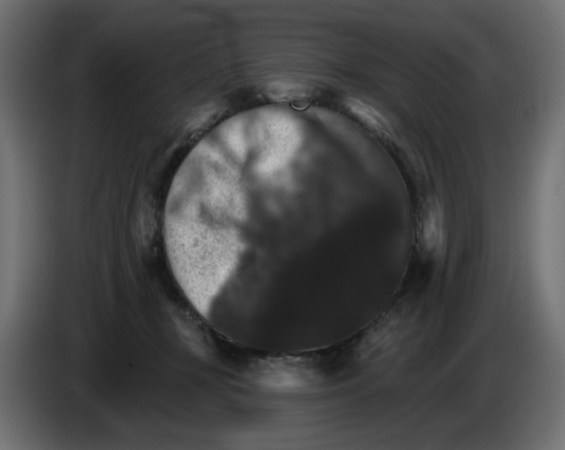 X0000084520367200703231636