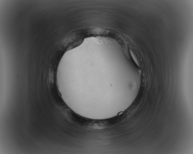 X0000084520368200703231636