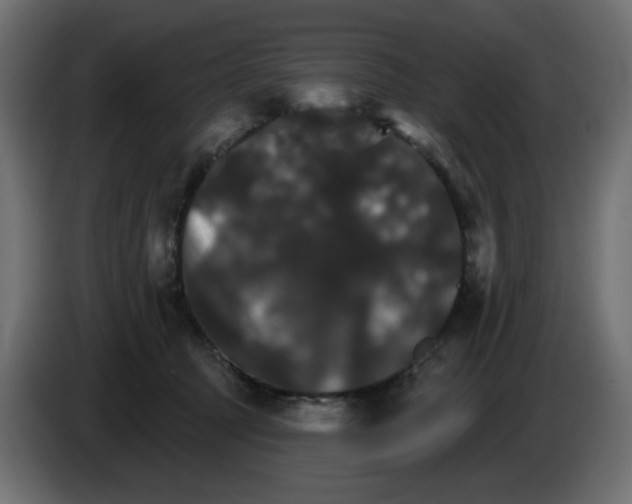 X0000084520369200703231636