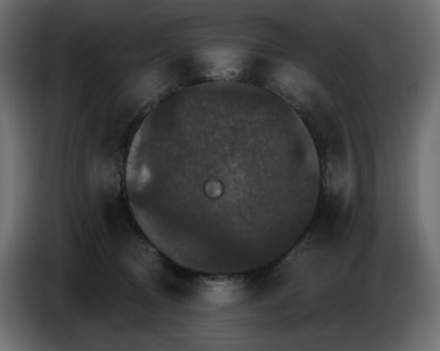 X0000084520370200703231636