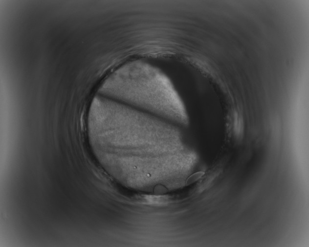 X0000084520371200703231636