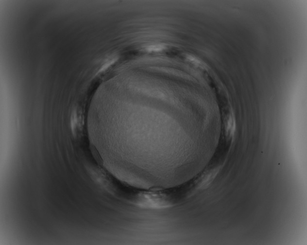 X0000084520372200703231636
