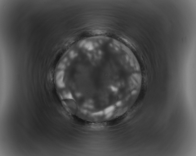 X0000084520373200703231636