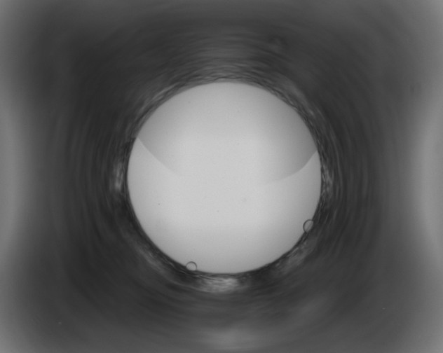 X0000084520374200703231636
