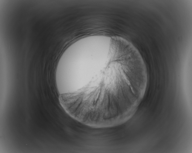 X0000084520375200703231636