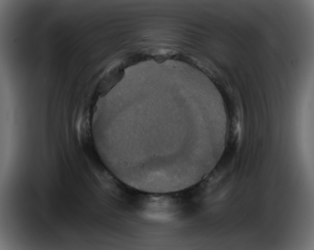 X0000084520376200703231636