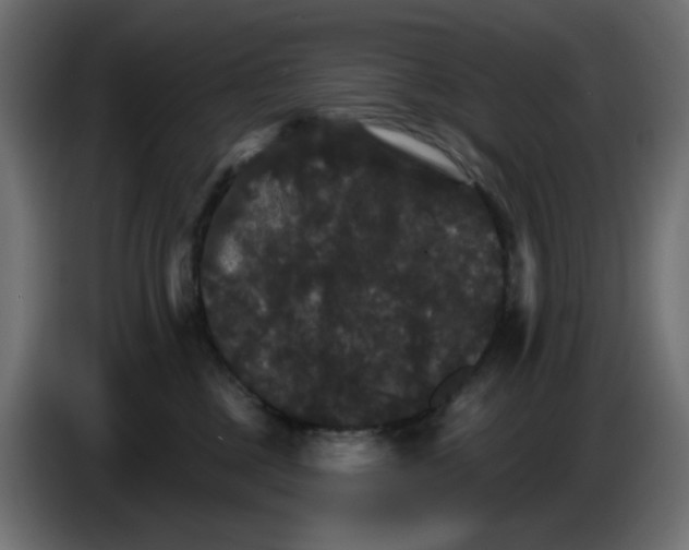 X0000084520377200703231636