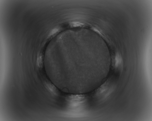 X0000084520378200703231636