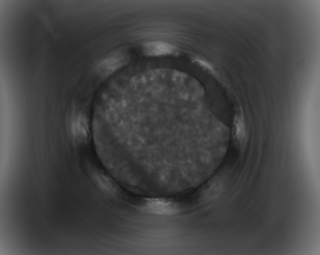X0000084520380200703231636