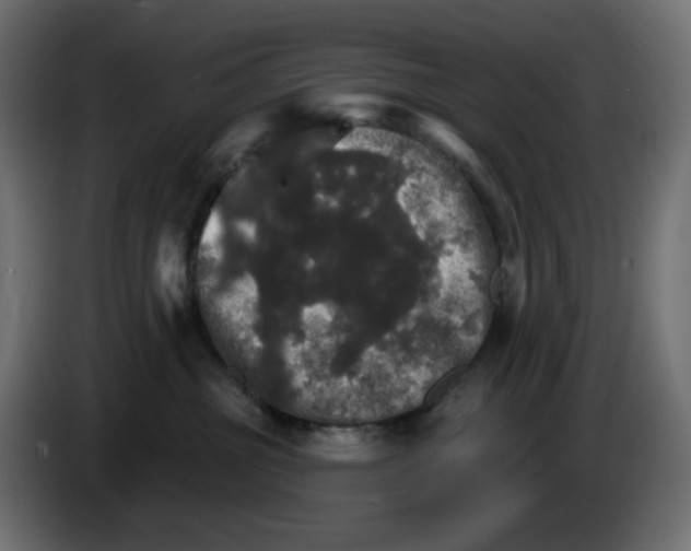 X0000084520381200703231636