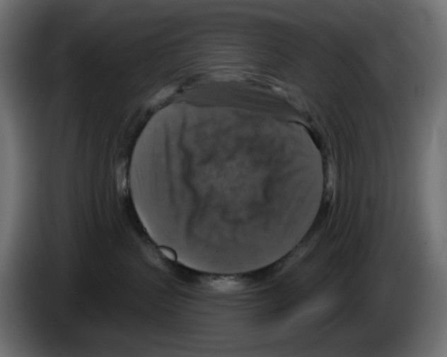 X0000084520383200703231636
