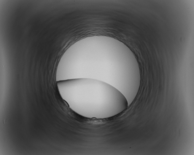 X0000084520384200703231636