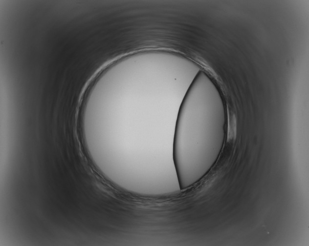 X0000084520387200703231635