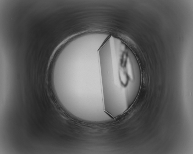 X0000084520388200703231635