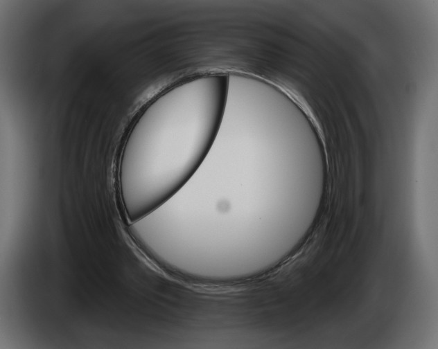 X0000084520389200703231635