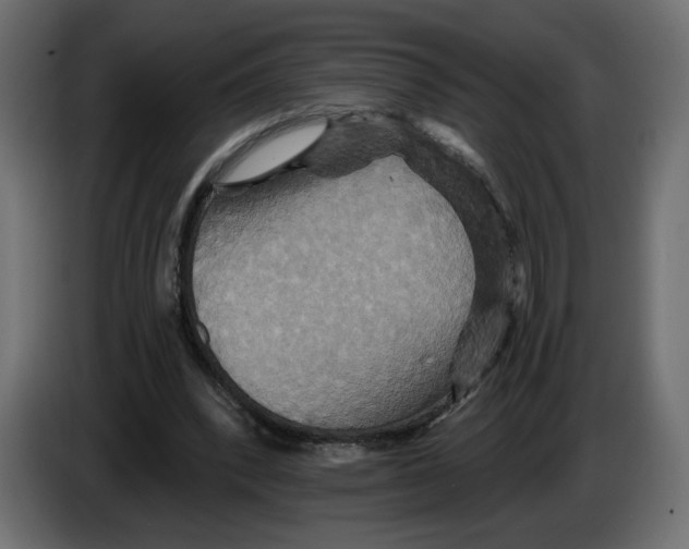 X0000084520392200703231635