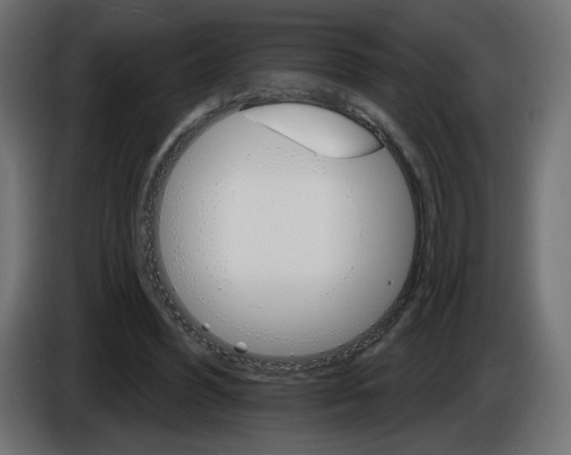 X0000084520396200703231635