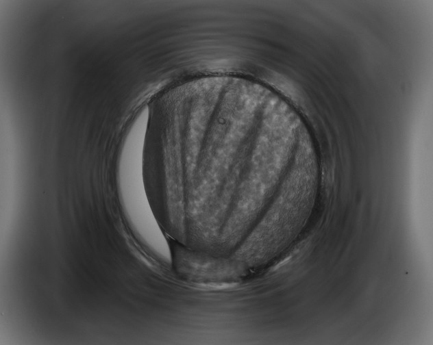 X0000084520397200703231635