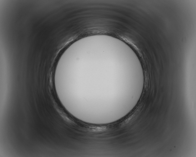 X0000084520398200703231635