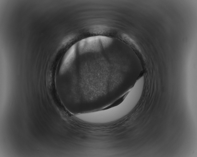 X0000084520400200703231635