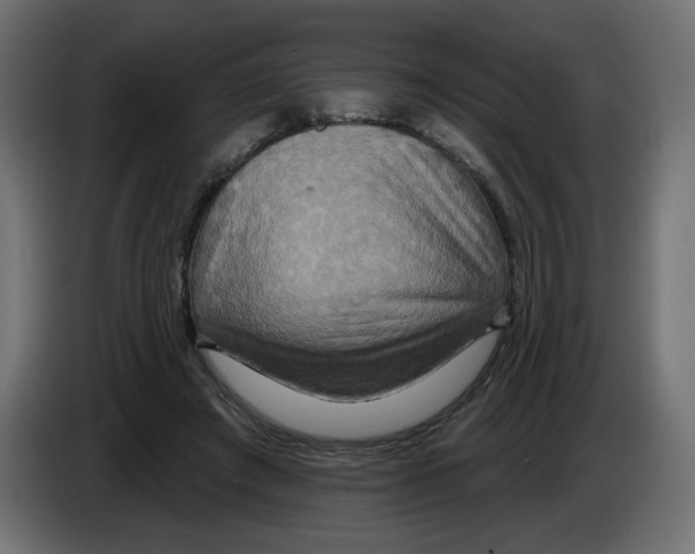 X0000084520401200703231635