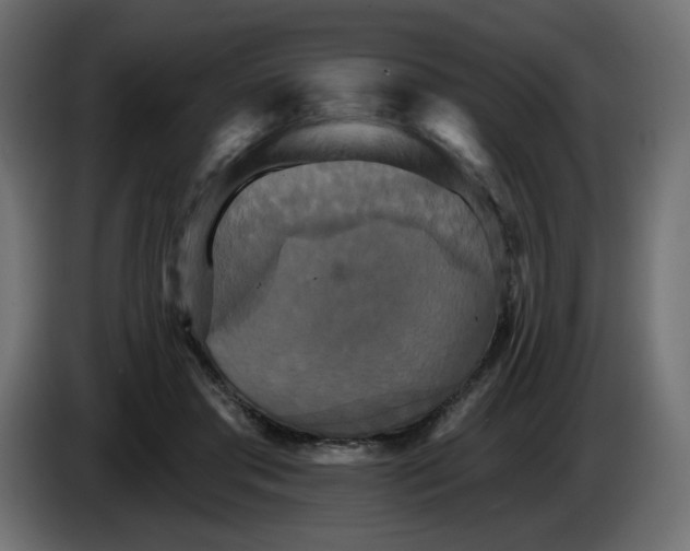 X0000084520405200703231635